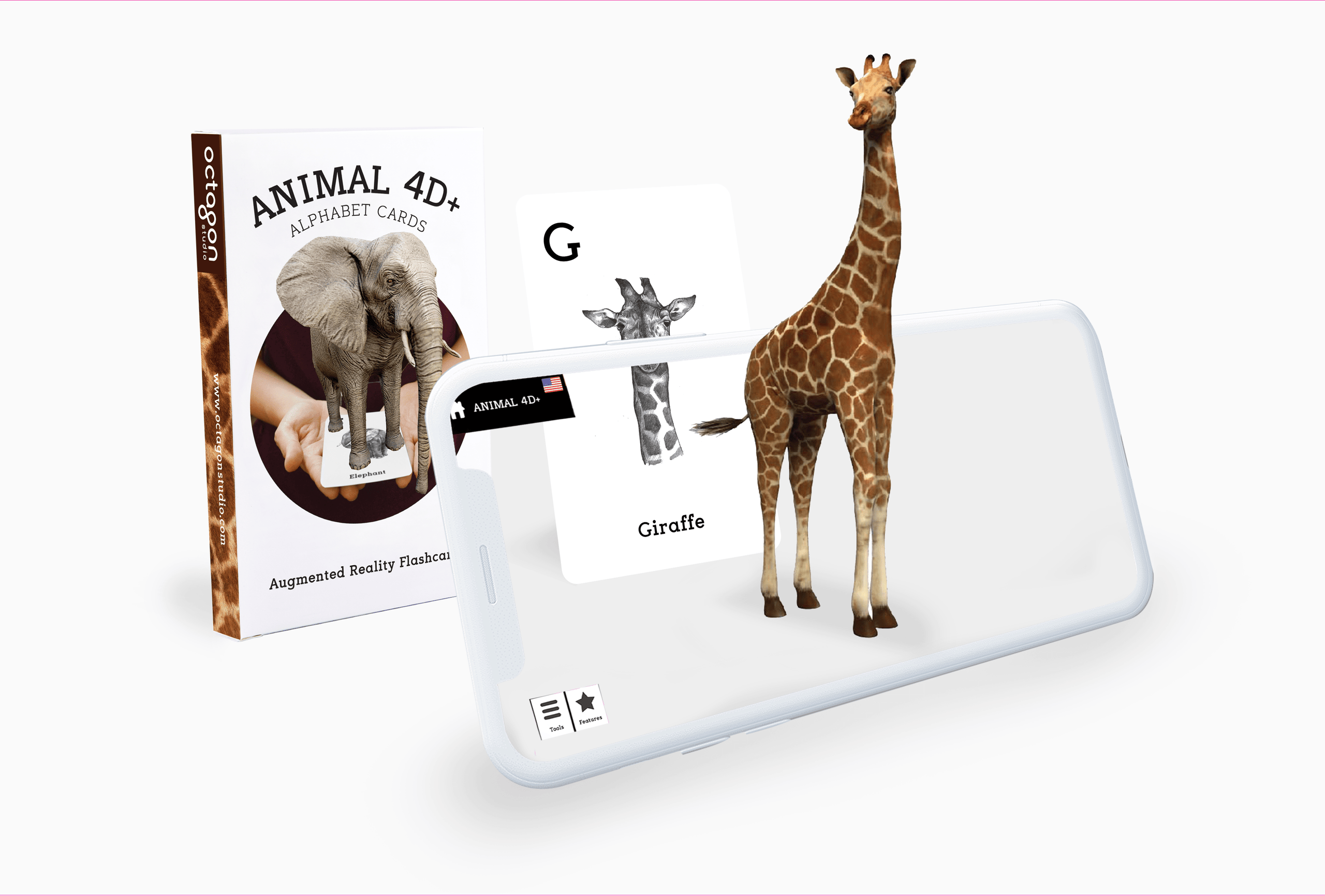 Octagon Animals 4D+ AR Cards